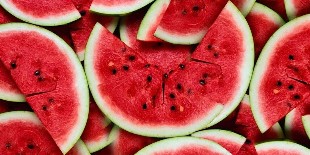 the diet of the watermelon